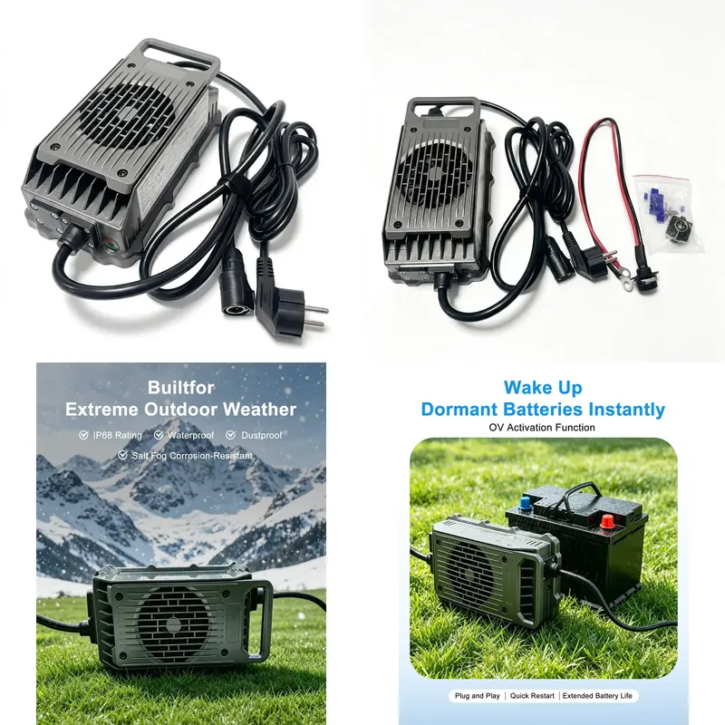 84V 20A Smart Charger - Caricabatterie per Tavola da Surf Elettrica