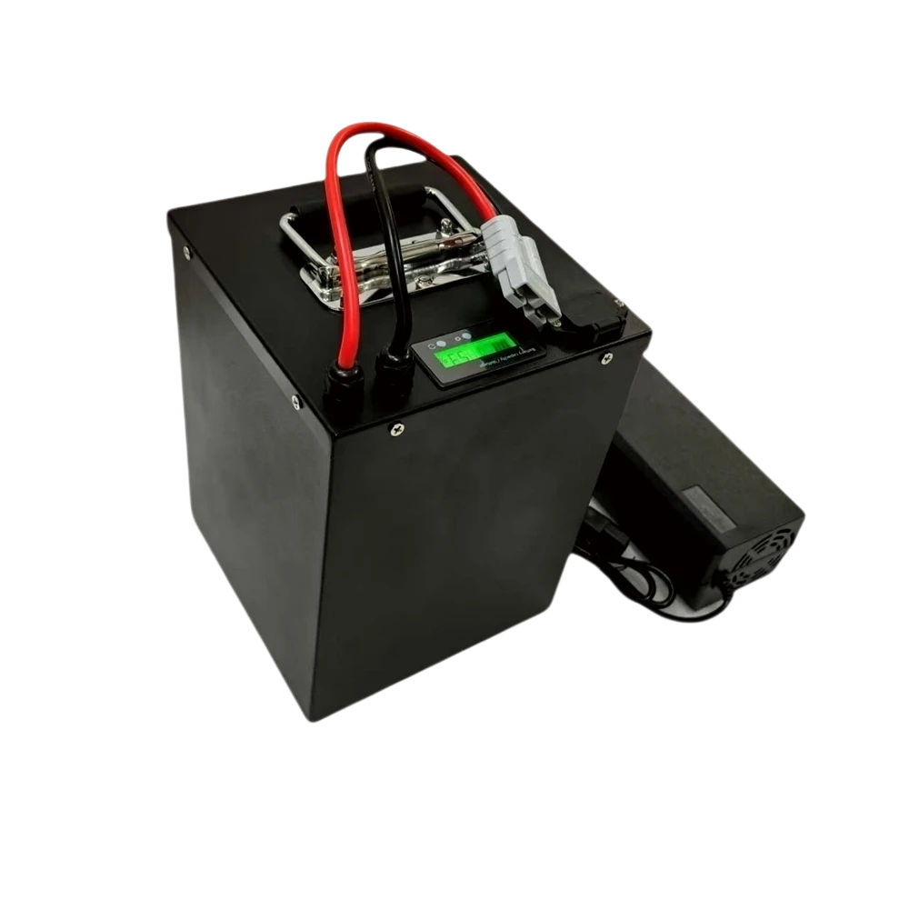 JN- 24S BMS 72V 20Ah 40Ah 60Ah - 72V 40Ah Lifepo4 Battery Pack recensione e prezzo